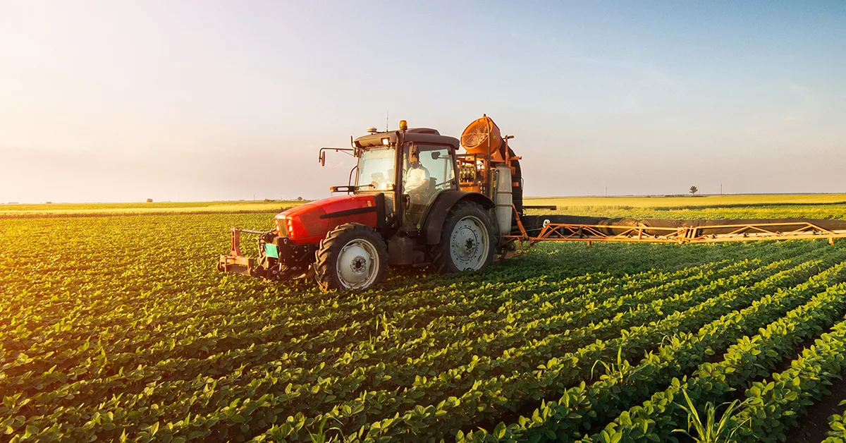 immagine campo durante raccolta